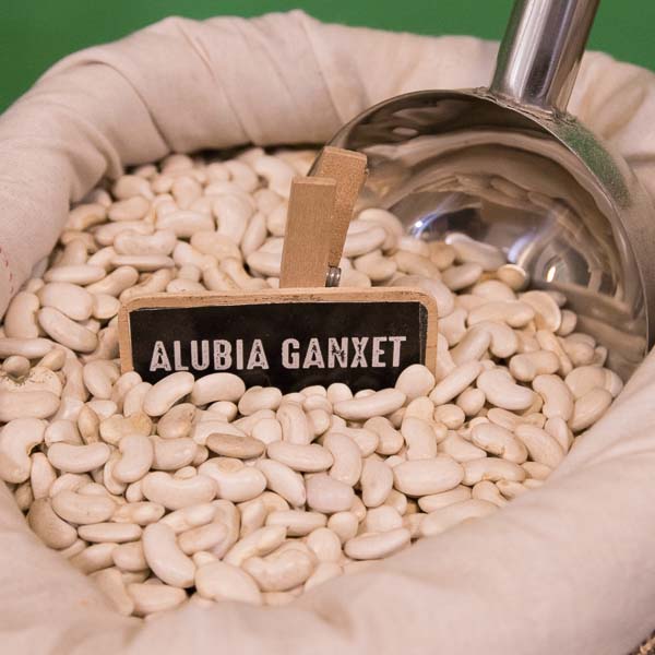 Ganxet Bean
