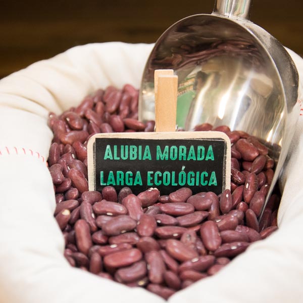 Organic Purple Beans