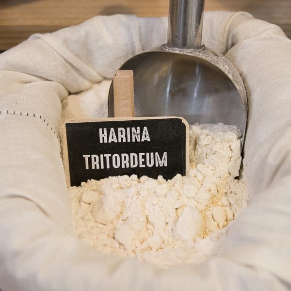 Harina tritordeum a granel
