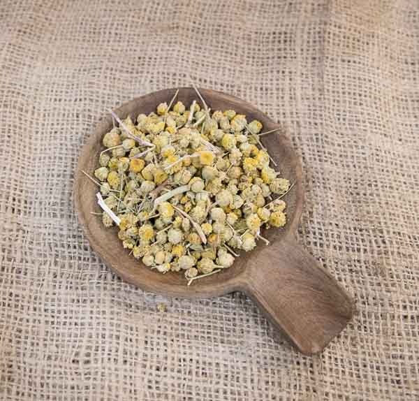 Manzanilla amarga mahon a granel