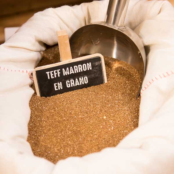 Brown teff grain