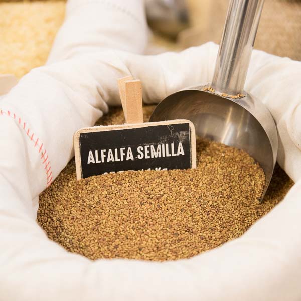 Semilla de alfalfa a granel
