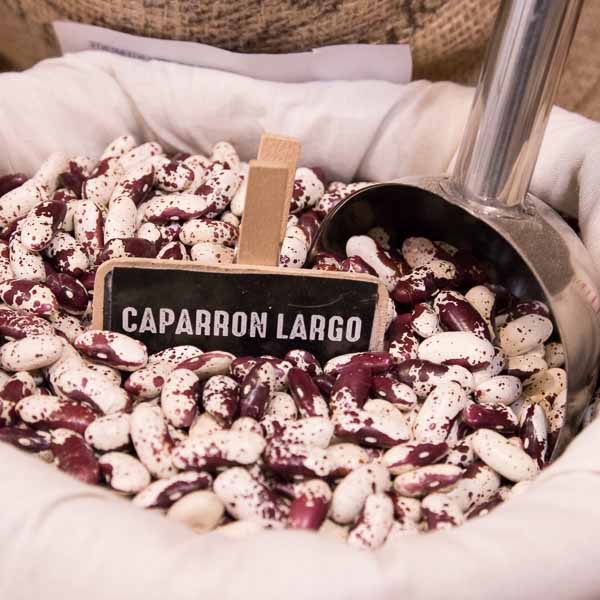Long Caparrón Bean