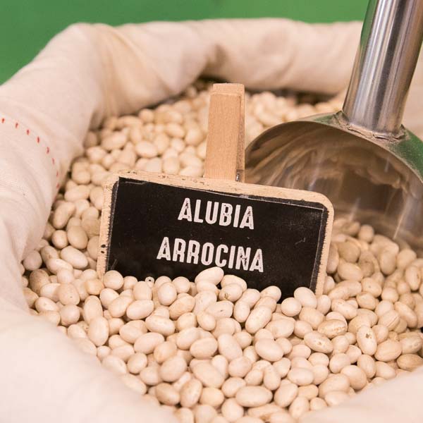 Arrocina Bean