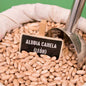 Alubia canela leon a granel