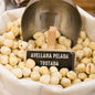 Avellana pelada tostada a granel