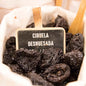 Ciruela deshuesada a granel