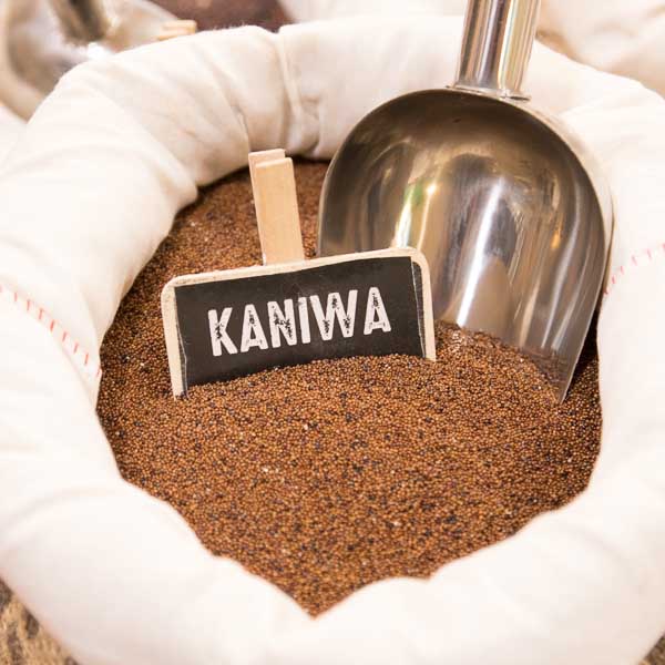 Kañiwa