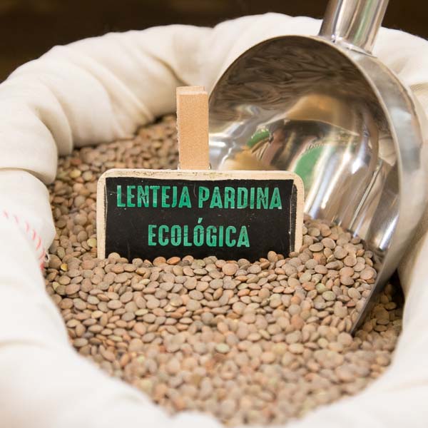 Lenteja pardina ecologica a granel