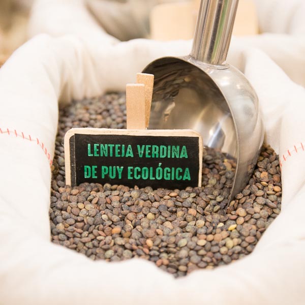 Lenteja verdina de puy ecologica a granel