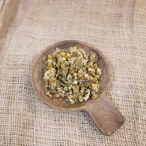 Sweet chamomile