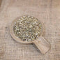 Yarrow plant