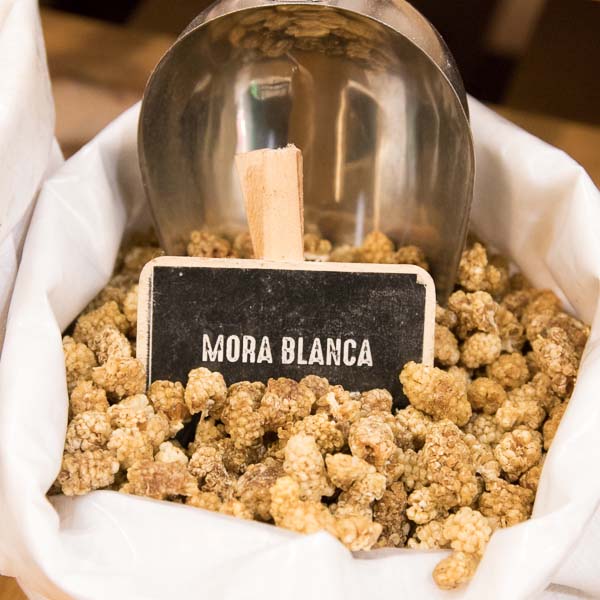 Mora blanca