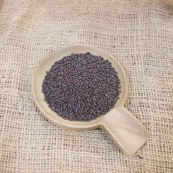 Mostaza marron en grano a granel
