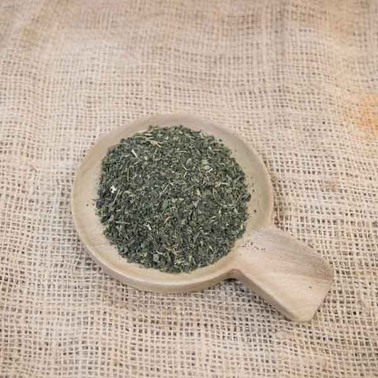 Green nettle leaf