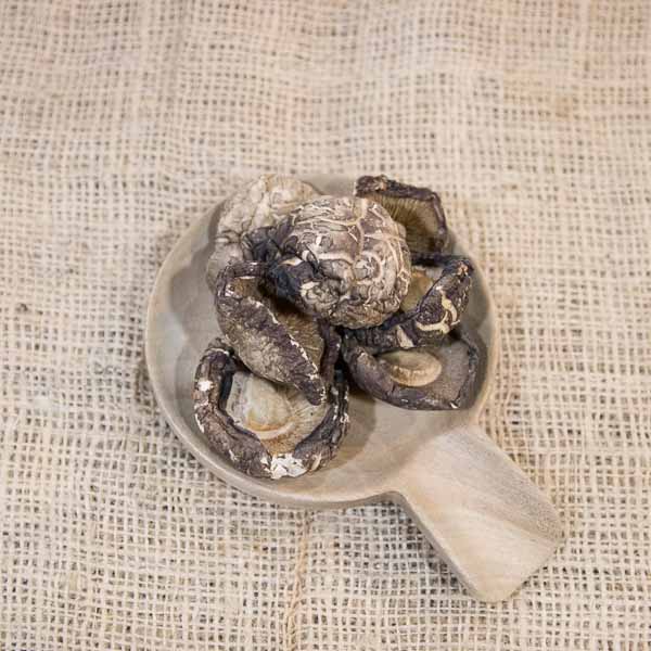 Setas shitake a granel