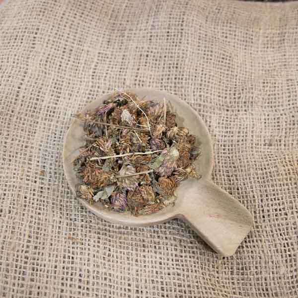 Trebol rojo flor a granel