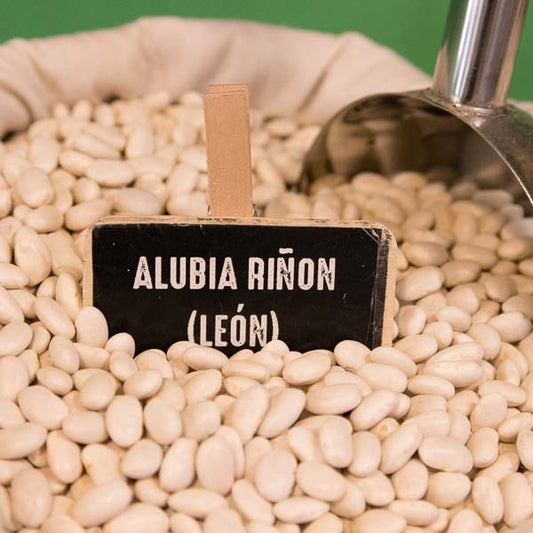 Kidney Bean from Bañeza-León