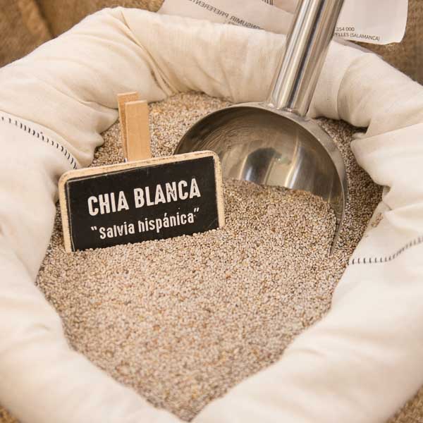 White chia (Salvia hispanica)