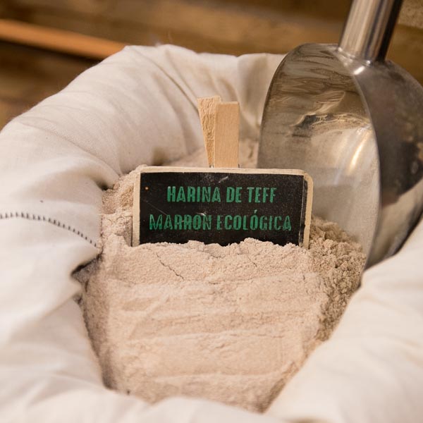 Harina de Teff marron ecologica a granel