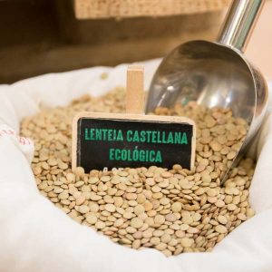 Lenteja castellana ecologica a granel