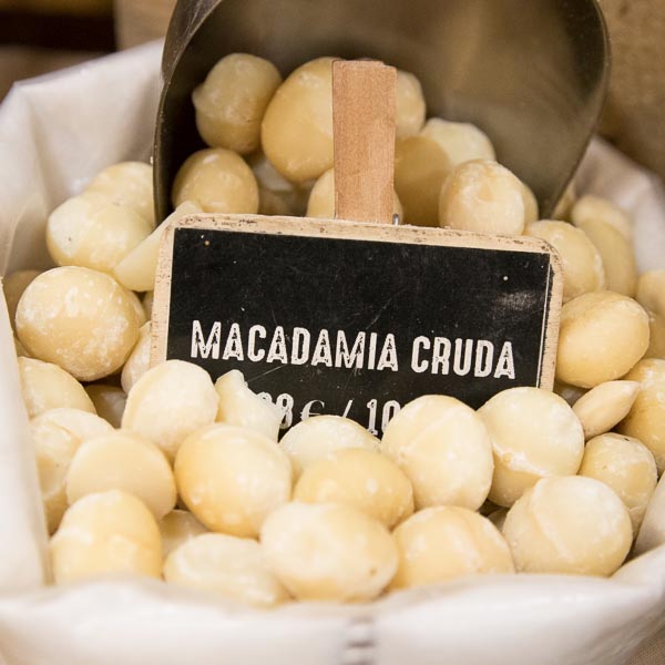 Nueces de macadamia crudas a granel